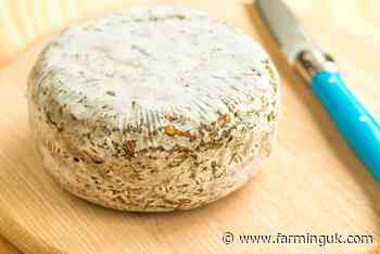 Sophisticated fraud results in loss of £300,000 worth of artisanal cheese