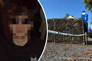 N. (21) was volledig weg door drugs op moment dat hij kennis om het leven bracht: “Schrijnende zaak”