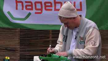 Branded Entertainment: So erfolgreich war Knossis zweite Big-Brother-Edition