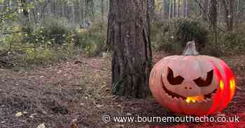 Review: Halloween at Moors Valley Country Park