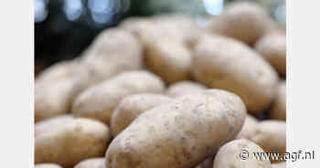 Nu beschikbaar: e-book voor de Potato Variety Days 2024