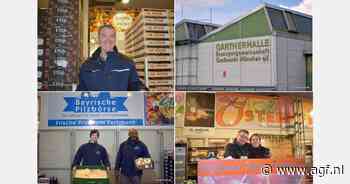 "Wij hebben geen luxe groothandelscentrum nodig, maar een functioneel centrum"