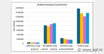 Optimisme voor Zuid-Afrikaans exportseizoen steenfruit ondanks logistieke uitdagingen