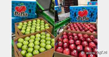 Turkse appeloogst -25%