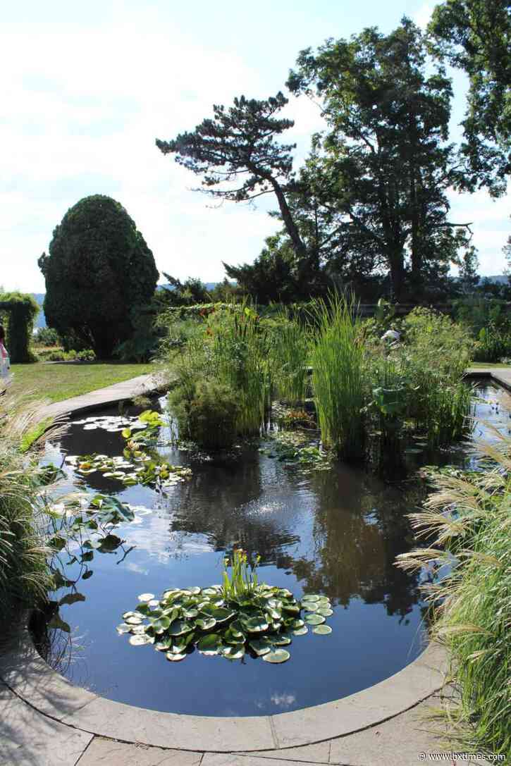 What’s happening | Environmental events, fun for kids and more