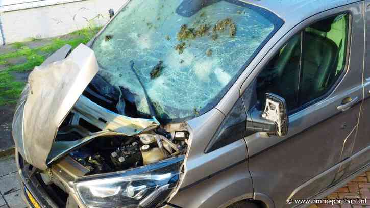 Dakdekkersoorlog: politie legt link met 'conflicten in criminele circuit'