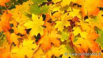 Festa d'autunno a Canterano