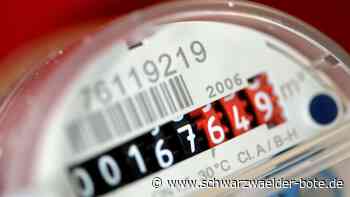 Gemeinderat Wildberg: Wasserzähler auslesen verschwindet von der To-Do-Liste