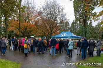 Honderden lichtjes en vlinders voor Reveil in Mortsel