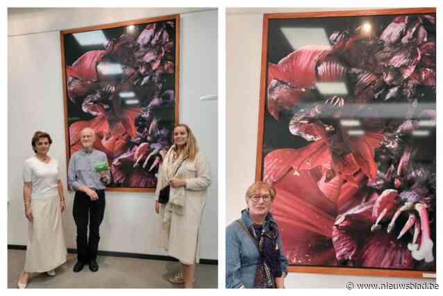 ‘Naked Lady Amaryllis’ wint publiekprijs wedstrijd digitale kunst