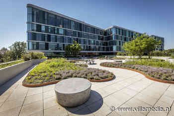 DPG Media verkoopt straks alleen nog rechtstreeks reclame in eigen apps