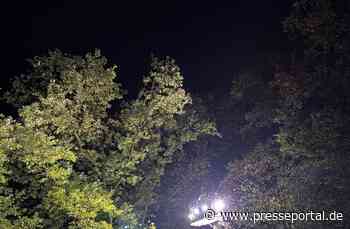 FW-KLE: Roter Panda auf Abwegen