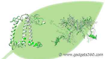 Scientists Reveals New Method to Analyse 3D Structure of Artificial Photosynthetic Antenna