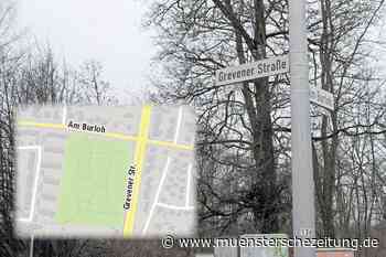 Stadt plant Ankauf vom Zimmermannschen Wäldchen