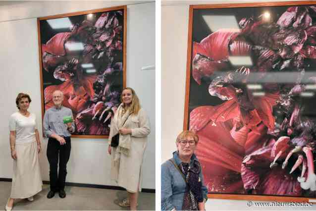 Daisy Heirbaut wint publiekprijs wedstrijd digitale kunst