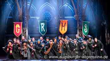 Harry Potter in Hamburg: Ein Wullenstetter ist mit dabei