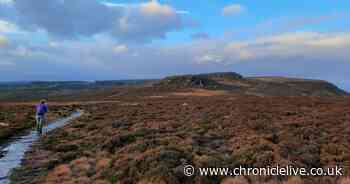 Wildlife Trusts buy section of Rothbury Estate with agreement to purchase remainder in 'once in a generation' opportunity