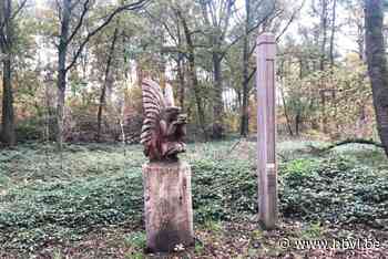 Steeds meer mensen kiezen voor natuurbegraafplaats van Rekem: “Vlinder, eekhoorn en ree zijn het meest in trek”