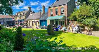 North East village wins Britain in Bloom award after wowing judges