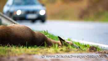 Vorsicht Wildwechsel in Peine: Fahren Sie aufmerksam und vorausschauend!