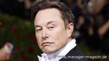 xAI: Elon Musks Start-up auf dem Weg zur 40-Milliarden-Dollar-Bewertung