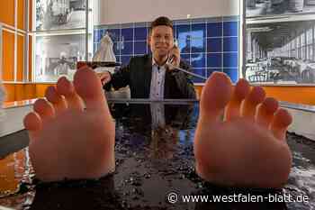 Was die Moorerlebniswelt in Bad Driburg zu bieten hat