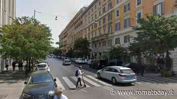 Via Cola di Rienzo, giardinieri in azione: ci sono alberi da abbattere e sostituire