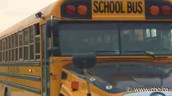 27 students, driver injured in school bus crash near Tisdale, Sask.