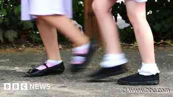 Plan for new primary schools is scrapped