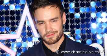 Liam Payne new music release postponed as collaborator confirms 'it's not the time yet'