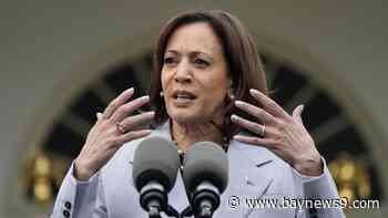 Harris to 'offer a different path' from Trump in her ‘closing argument’ at the Ellipse