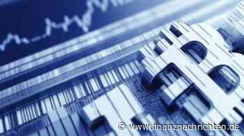 Bitcoin Wal zum Allzeithoch - Warum jetzt die 130.000 Dollar in greifbare Nähe rücken!