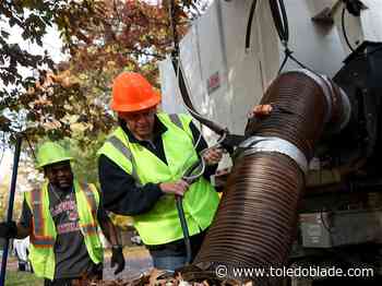 Photo Gallery: City announces details of 2024 Leaf Collection season