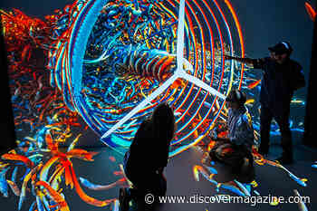 If You're Still Unsure Who to Vote For, These Two Simple Charts Could Help You Decide