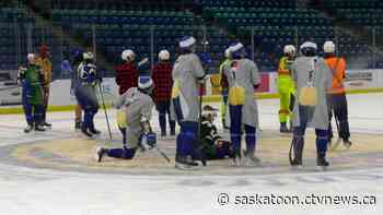 Trick or treat, and some trades for Saskatoon Blades