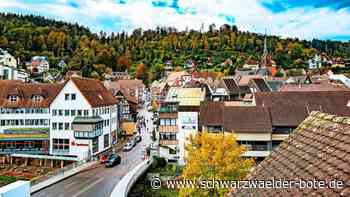 800 Meter Strecke: Erste Pläne für eine Seilbahn von Calw auf den Wimberg liegen vor