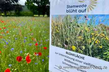 Artenvielfalt statt lebloser Schotter