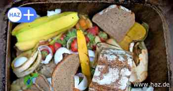 Amtsgericht Hannover: Mieter entsorgt Essensreste in der Dachrinne