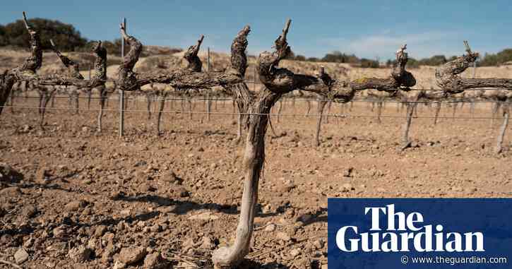 Record levels of heat-related deaths in 2023 due to climate crisis, report finds