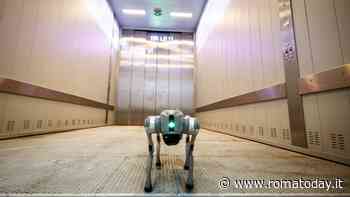 MAXXI Bvlgari Prize 2024