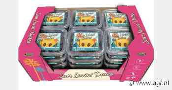 "Bovengemiddelde vraag naar onze Medjool en Deglet Noor dadels verwacht"