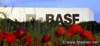 BASF-Aktie im Minus: Umsatz stagniert im dritten Quartal - Vorsichtiger in 2024