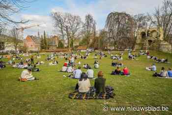 Stad vraagt input Leuvenaars voor plannen stadspark: “Het park is helemaal op”