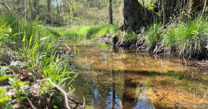 Geld für Öko Kleinprojekte