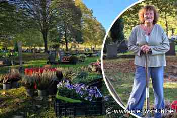 Vrijwilligers fleuren eenzame graven van Gentse begraafplaats op: “We willen niet dat zij zomaar worden vergeten”