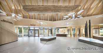 Luxwerk: bewegte Unterwasserwelt im Pfahlbauten Museum am Bodensee