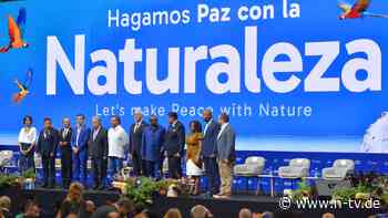 Artenschutz und Sexschaukeln: COP16-Delegierte in Cali schlafen in Stundenhotels