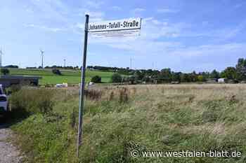 Containeranlage gilt als beschlossene Sache