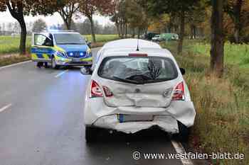 Polizei sucht nach Auffahrunfall in Steinhorst einen weißen Lkw