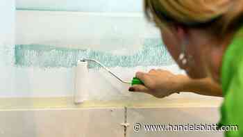 Gesundes Bauen: Allergikerfreundliche Immobilien: Wie Wohnen ohne Schadstoffe möglich wird